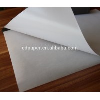 China Good Quality Adhesive Matt Synthetic Polypropylene Paper