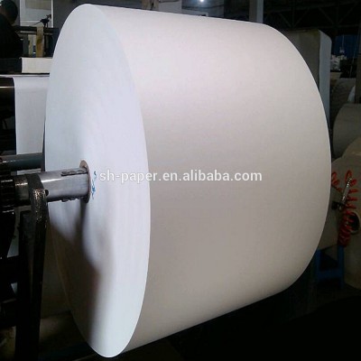 Food grade PLA coated paper for paper cup